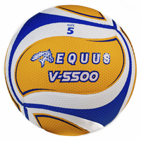 Thumbnail for Equus Official Volleyball V-5500 N°5