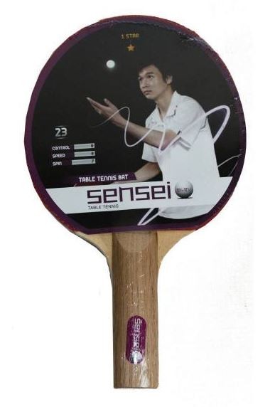 PALETA PING PONG 1 ESTRELLA