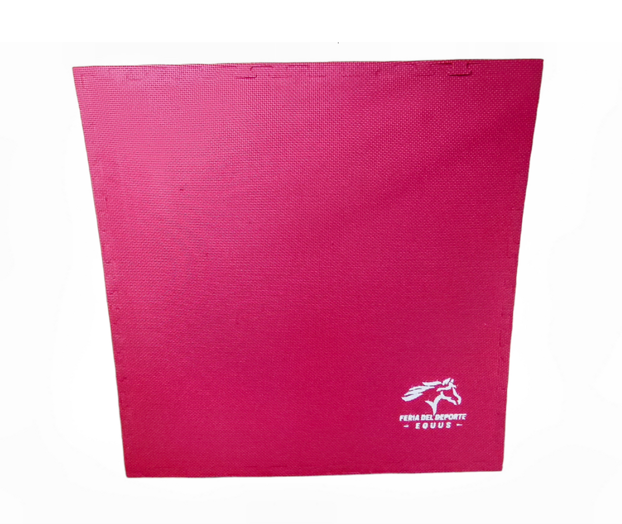 Tatami Equus Rojo/Azul 100x100x2,5cm