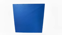 Thumbnail for Tatami Equus Rojo/Azul 100x100x2,5cm